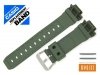 CASIO DW-5600M-3 oryginalny pasek 16 mm 10512601